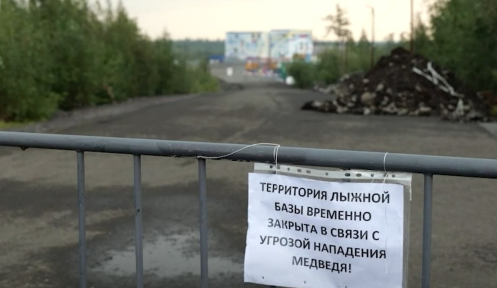 06.08.2026 Новости «Северный город». Незваный гость. К урокам готовы? Какова твоя профессия?