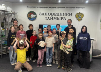Какая лапа у медведя любимая, норильским школьникам рассказали в «Заповедниках Таймыра»