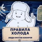 «Правила холода»: рассказываем, где посмотреть третий выпуск проекта о жизни и здоровье на Севере