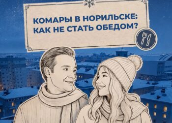 Как не стать обедом для комаров в Норильске, выяснили ведущие проекта «Правила холода»